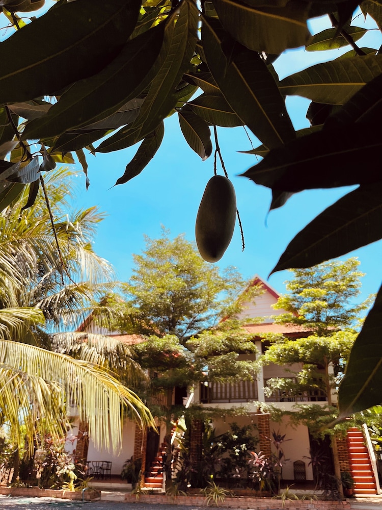 Villa Pich Boutique and Dance & Boxing Gym view 3