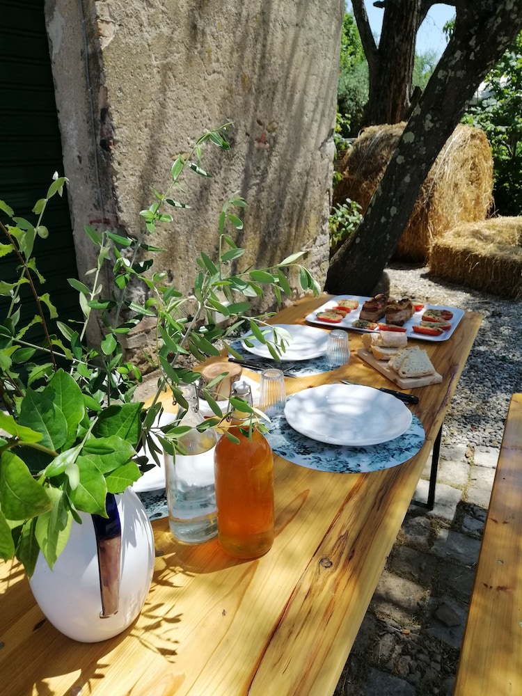 B&B Fattoria Camilla
