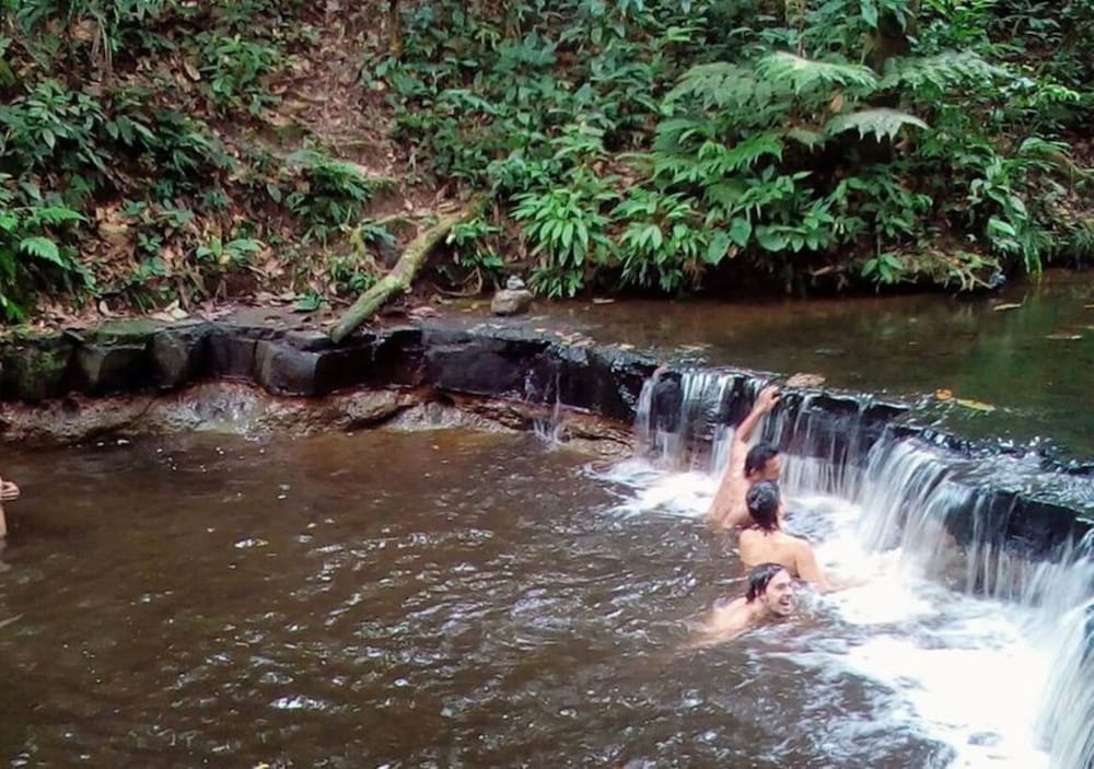 Photo 42