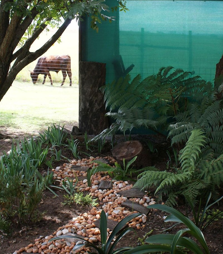 Mountain View Guest House