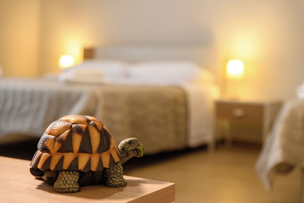 Beehappy B&B