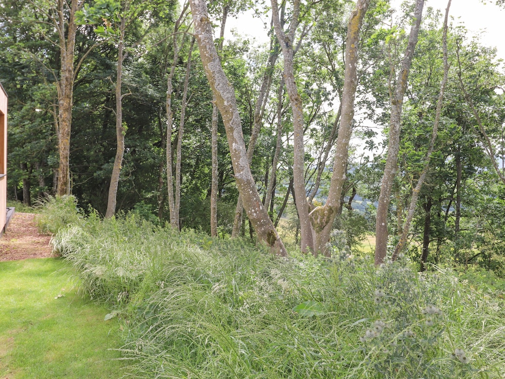 Bluebell Cabin
