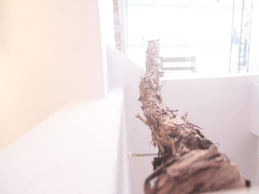 Studio Toniko view 3