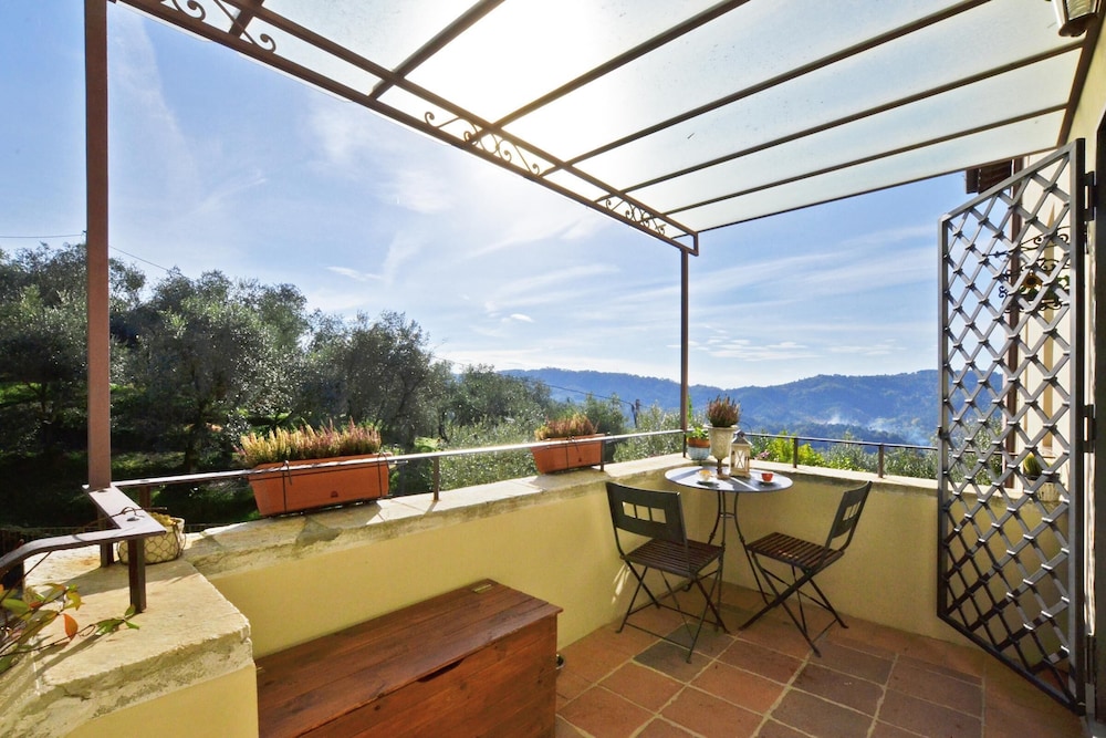 Alloro Grillo in Camaiore view 3