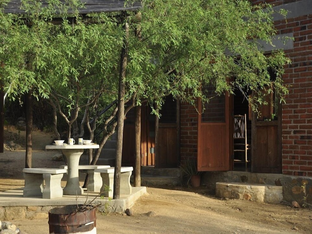 Photo 7