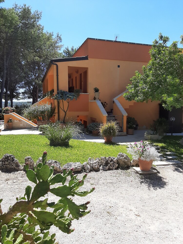 Sole del Mediterraneo