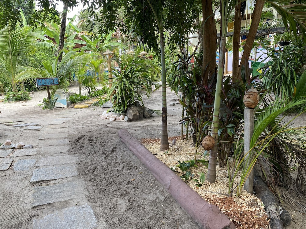 Macaco Surf House - Hostel