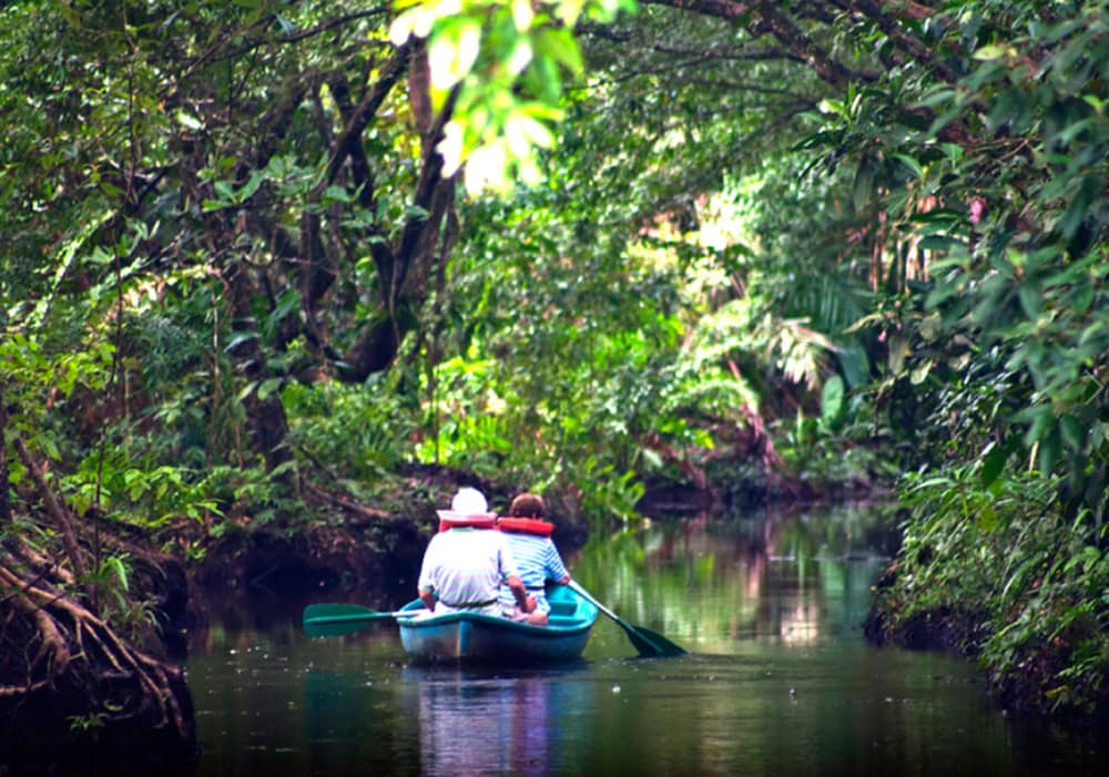Turtle Beach Lodge