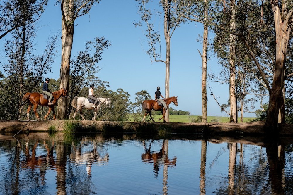 AfriCamps at Oakhurst- Glamping