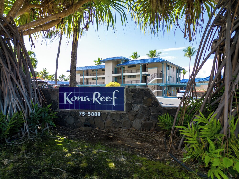Kona Reef F2 Charming Oceanfront Condo for 4!