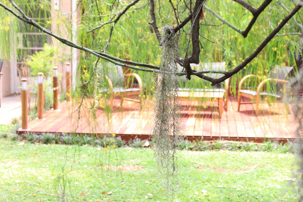 Sandalwood Lodge