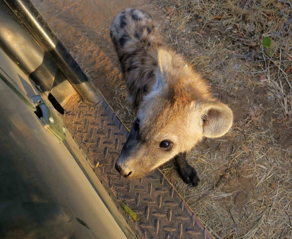 Timbila Game Lodge
