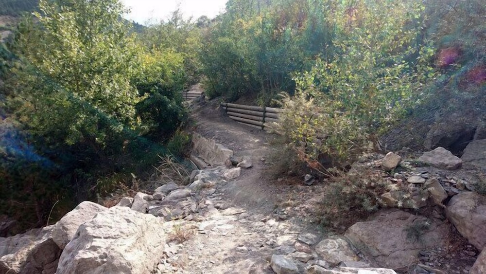 Photo 27