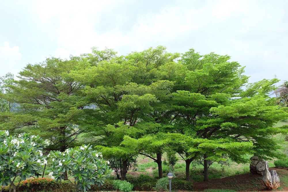 Monlada Khaoyai