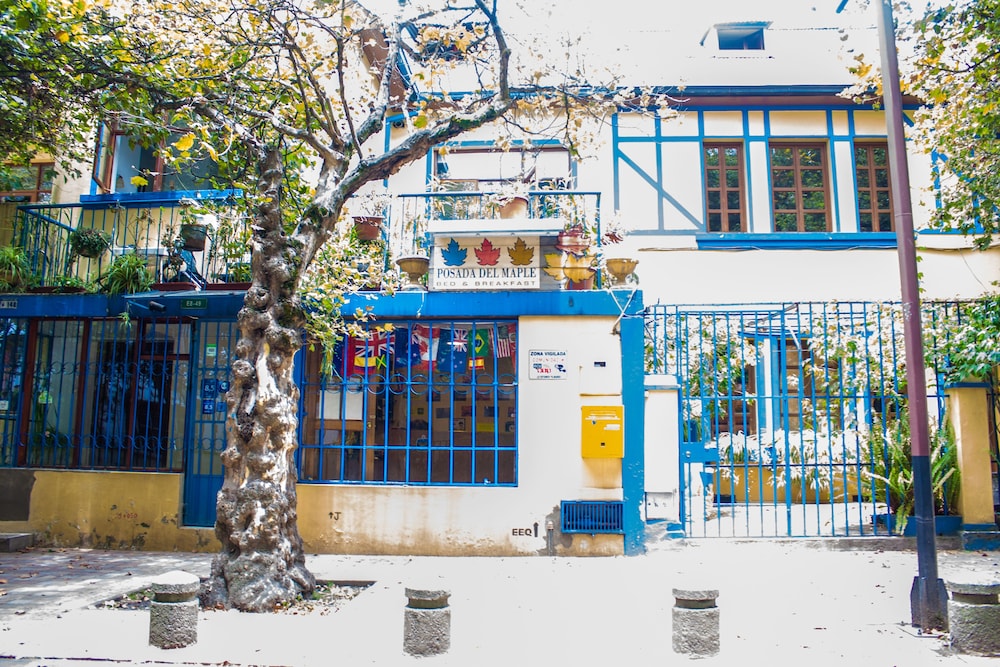 Posada del Maple - Hostel
