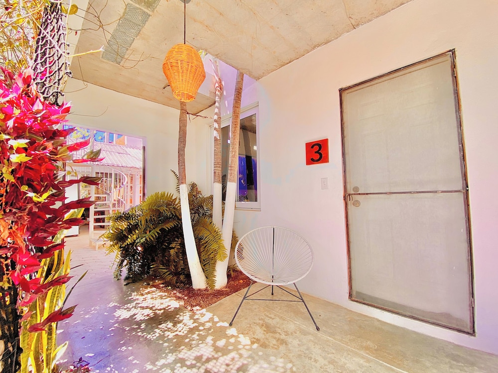 Perro Surfero Hotel Boutique - Todos Santos, BCS