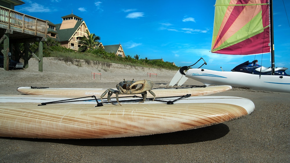 Disney's Vero Beach Resort, Zdjęcie 49