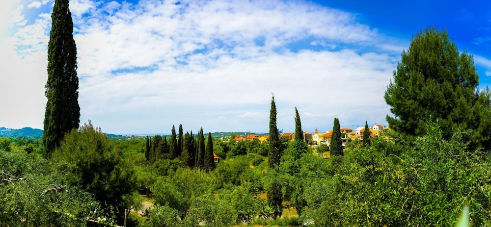 Villa Costa in Sfakera view 4