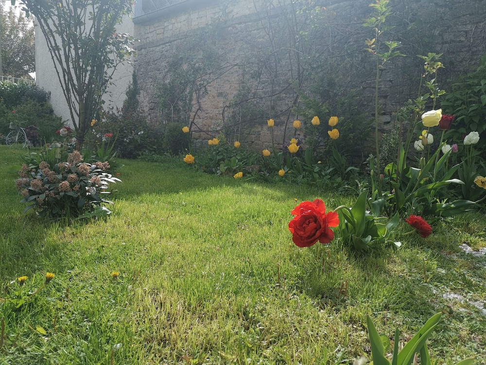 Photo 31