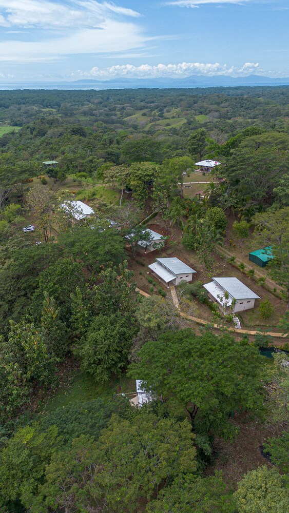 Tarcoles Birding Lodge