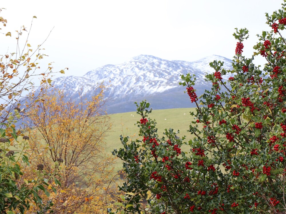 Silver Birch House view 4