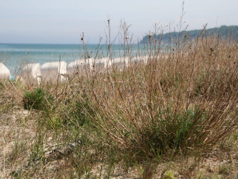 Strandhus Baabe Haus 229