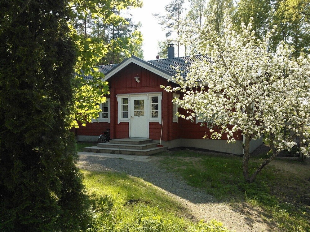 Photo 51