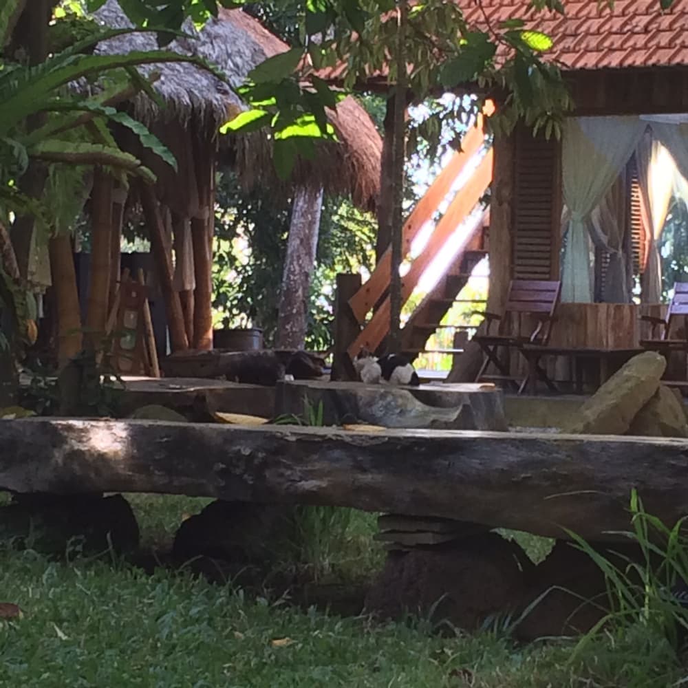 Omunity Bali
