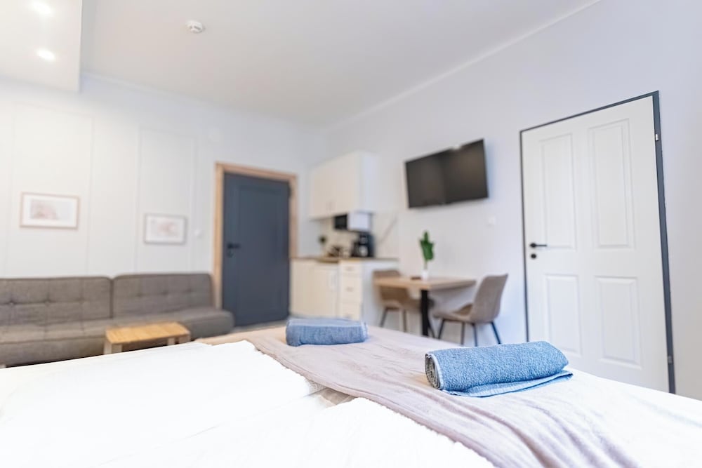 9BR Apts in the Heart of Vienna
