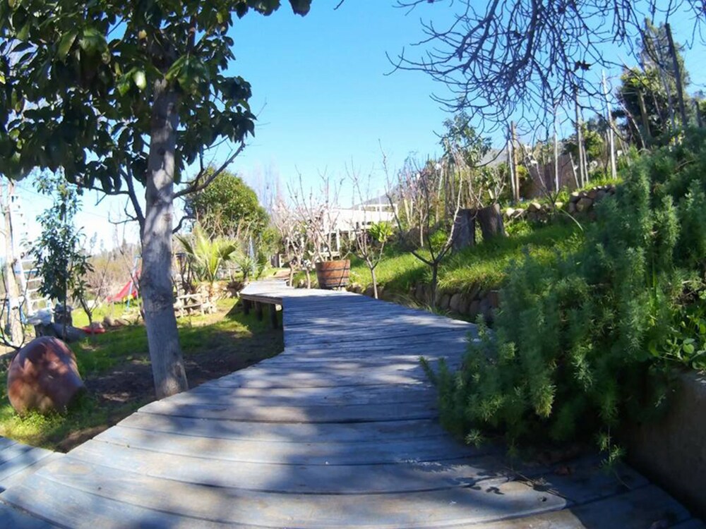 Photo 8