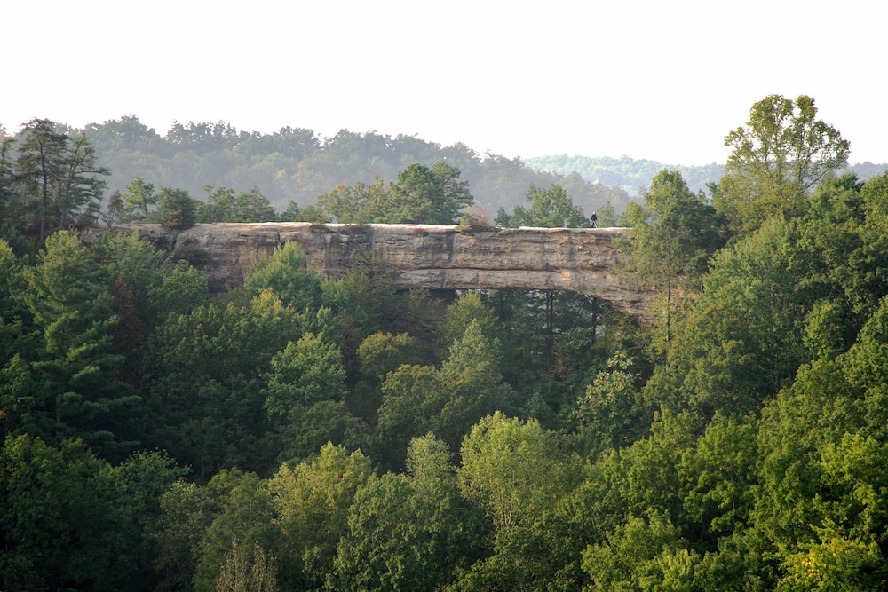 Natural Bridge State Resort Park