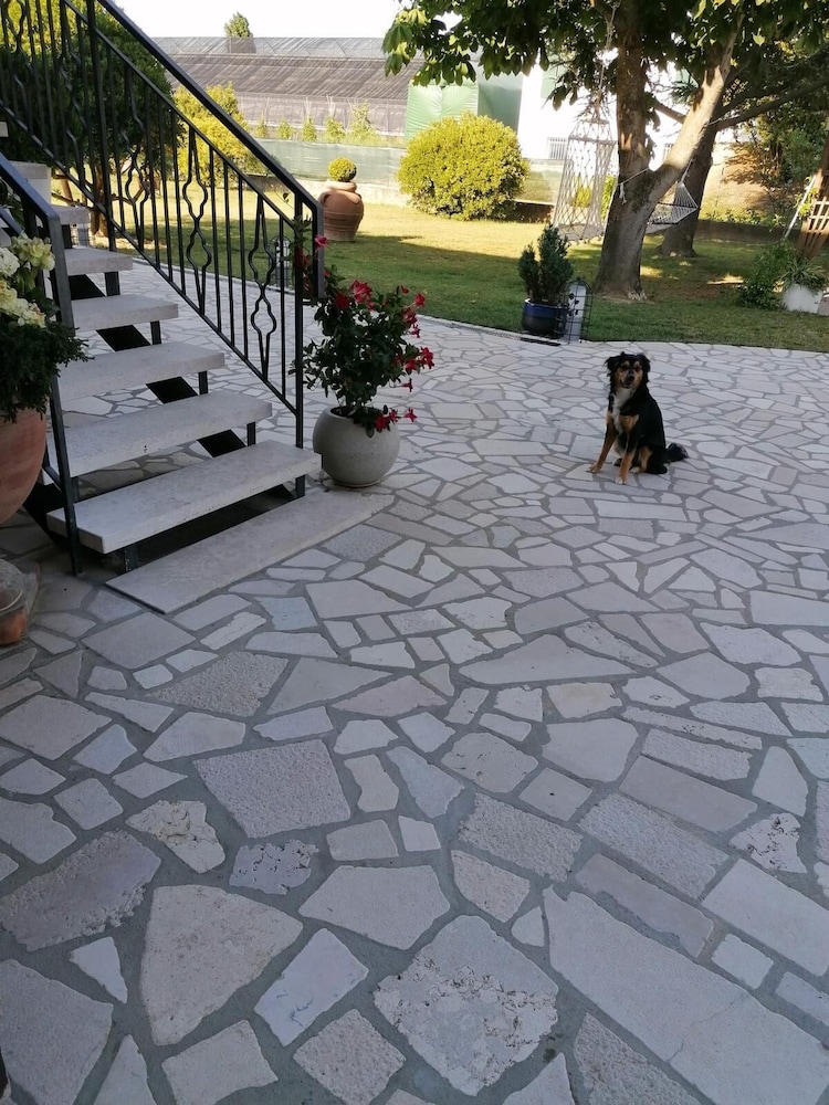 Photo 8