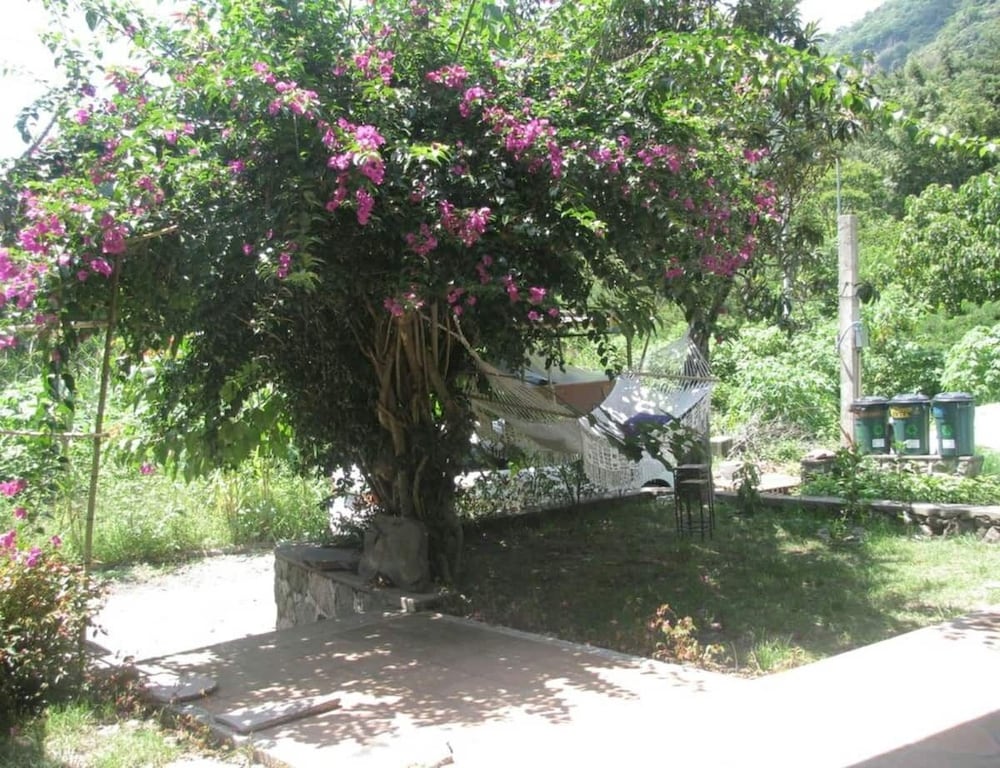 Photo 19