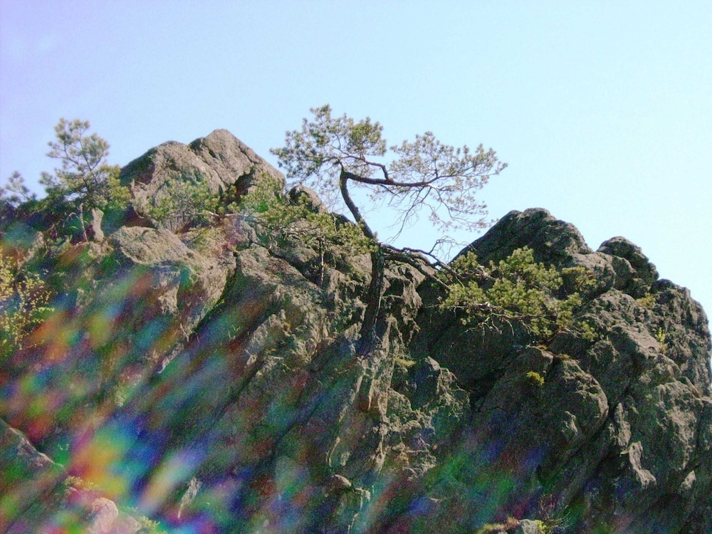 Photo 35
