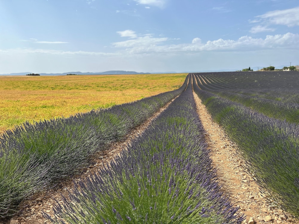 Clos des Cassis