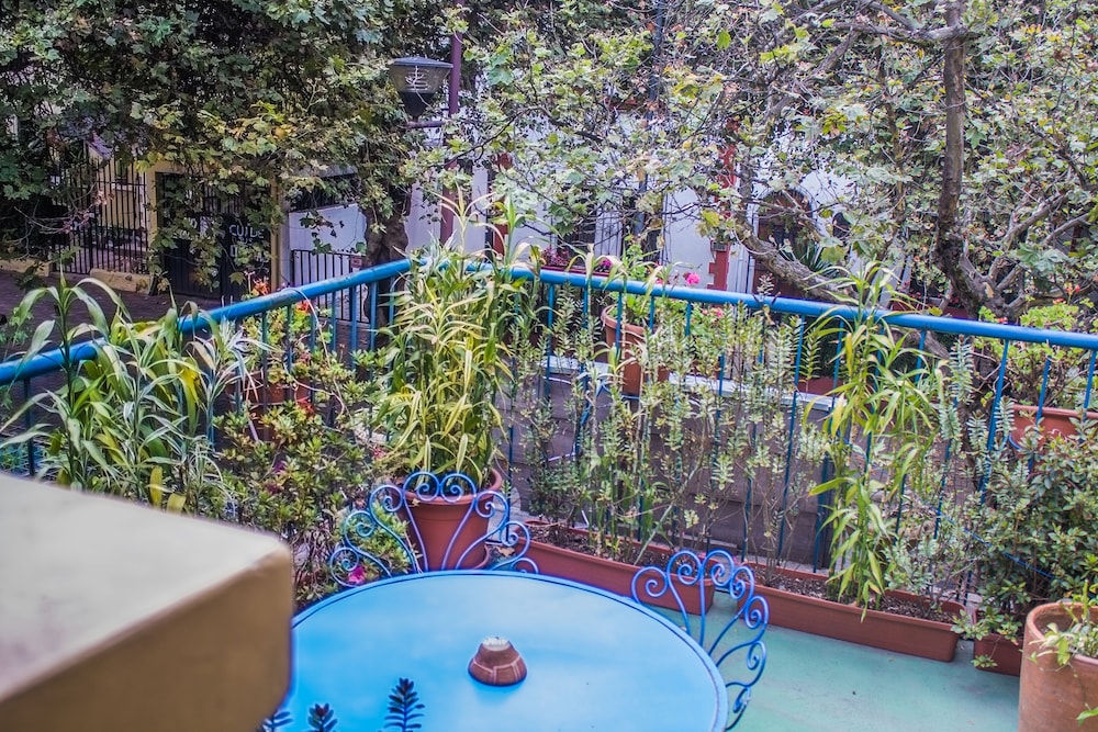 Posada del Maple - Hostel