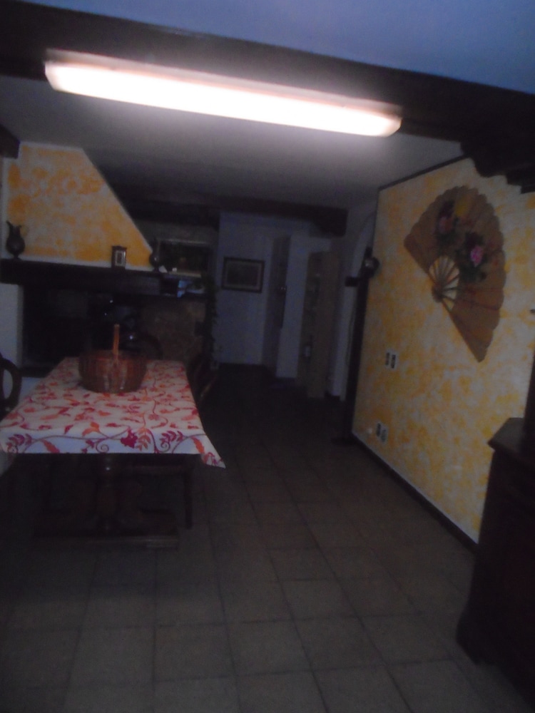 Tropical B&B