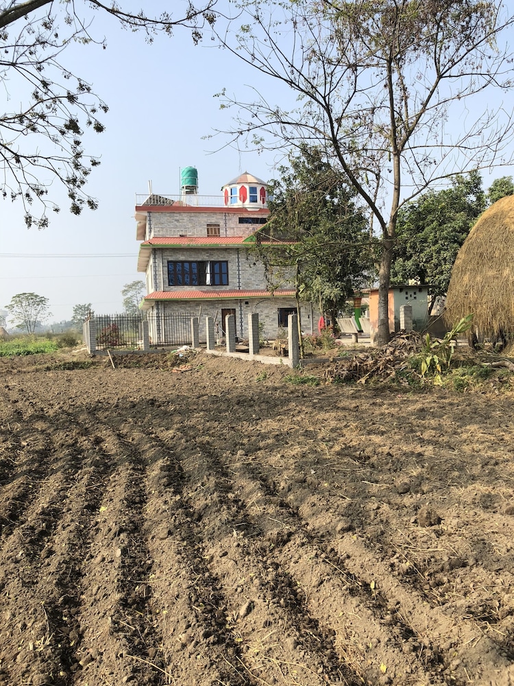 Chitwan Homestay