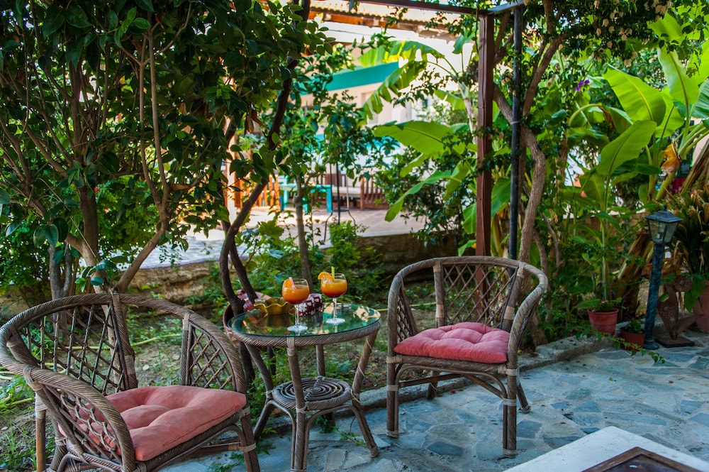 Zante Nest Studios & Apartments