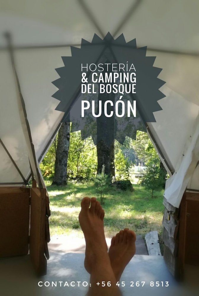 Hosteria y Camping del Bosque Pucón