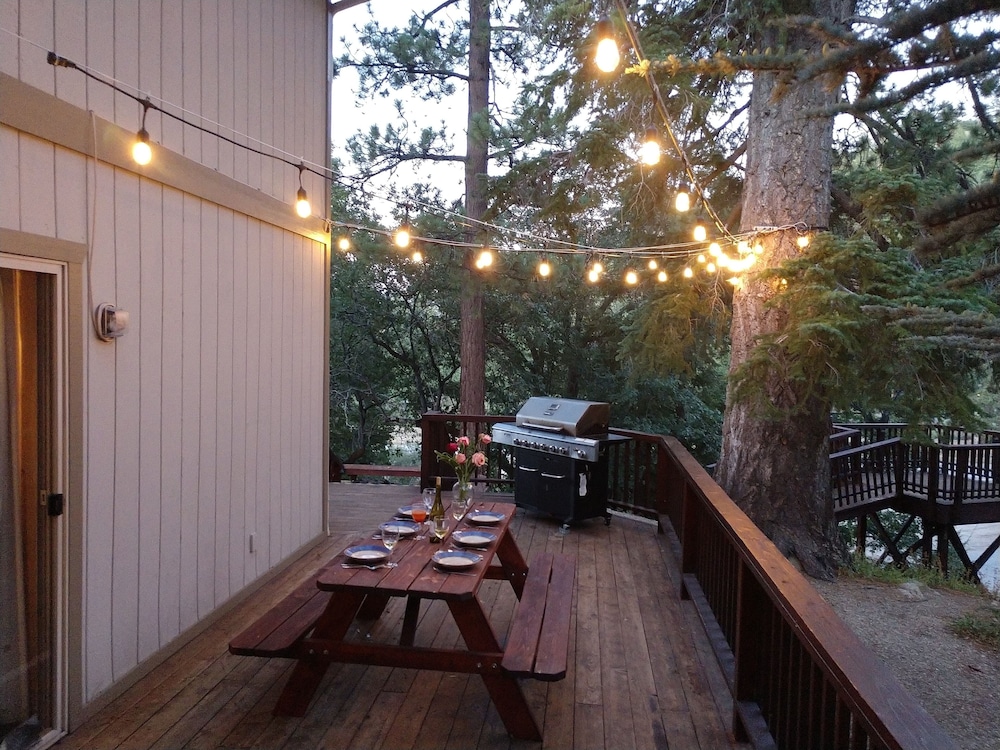 The Treehaus