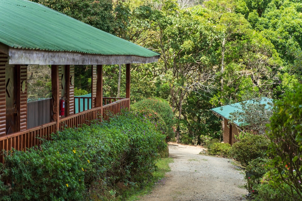 Cedrela Ecolodge