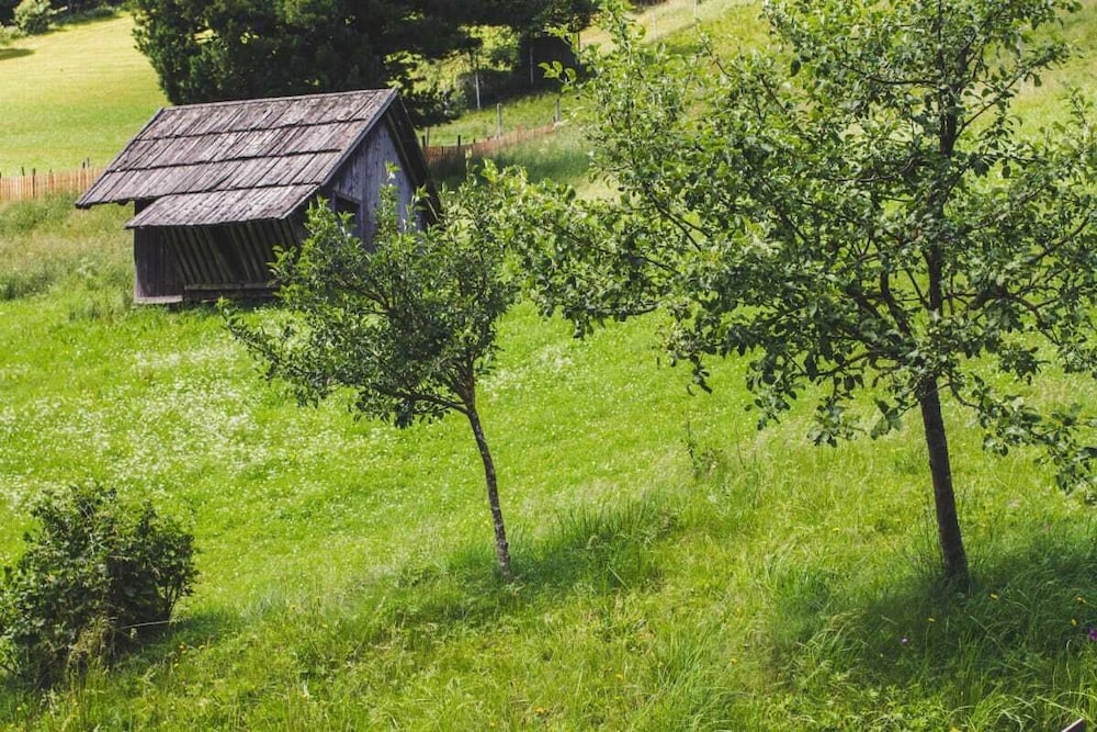 Bio-Bauernhof Tonibauer