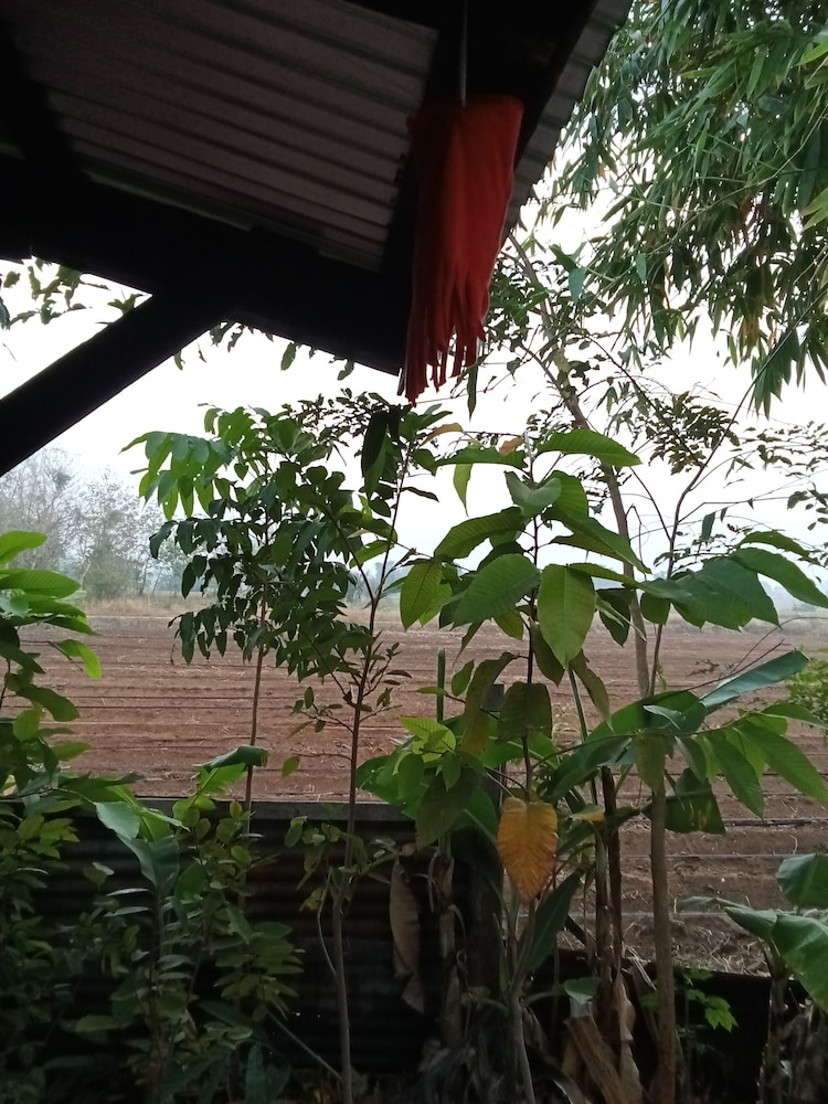 Photo 42