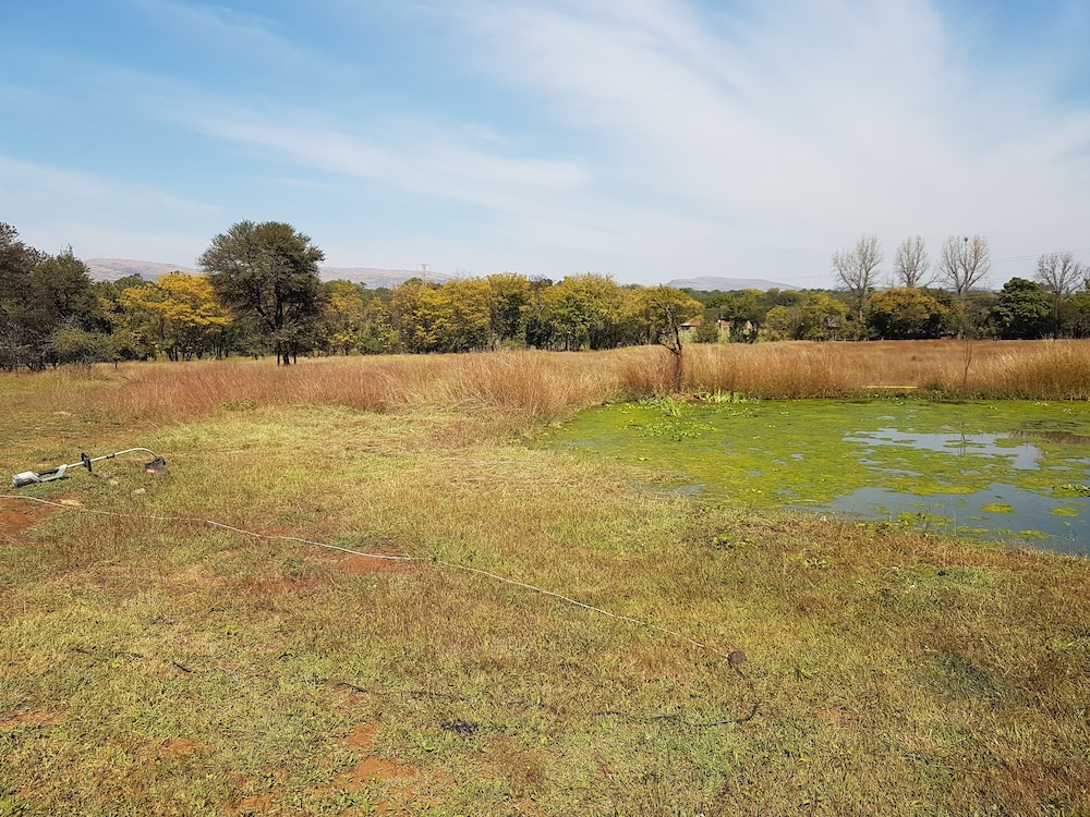 Harties Is Africa