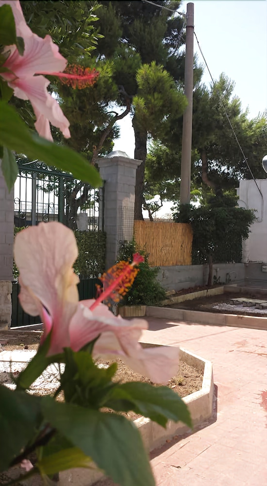 B&B Porto Levante