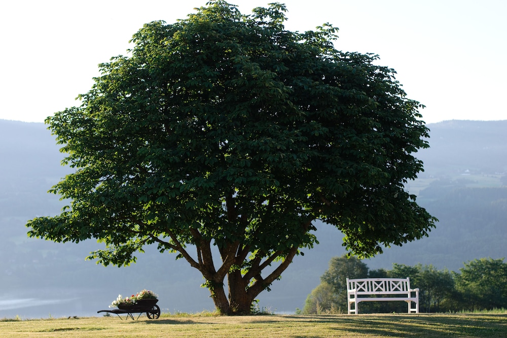 Photo 44