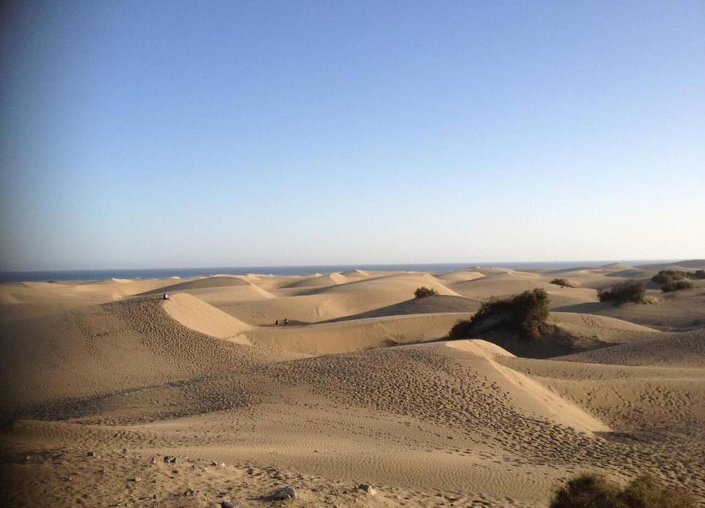 Apartment in Gran Canaria Near Maspalomas Dunes