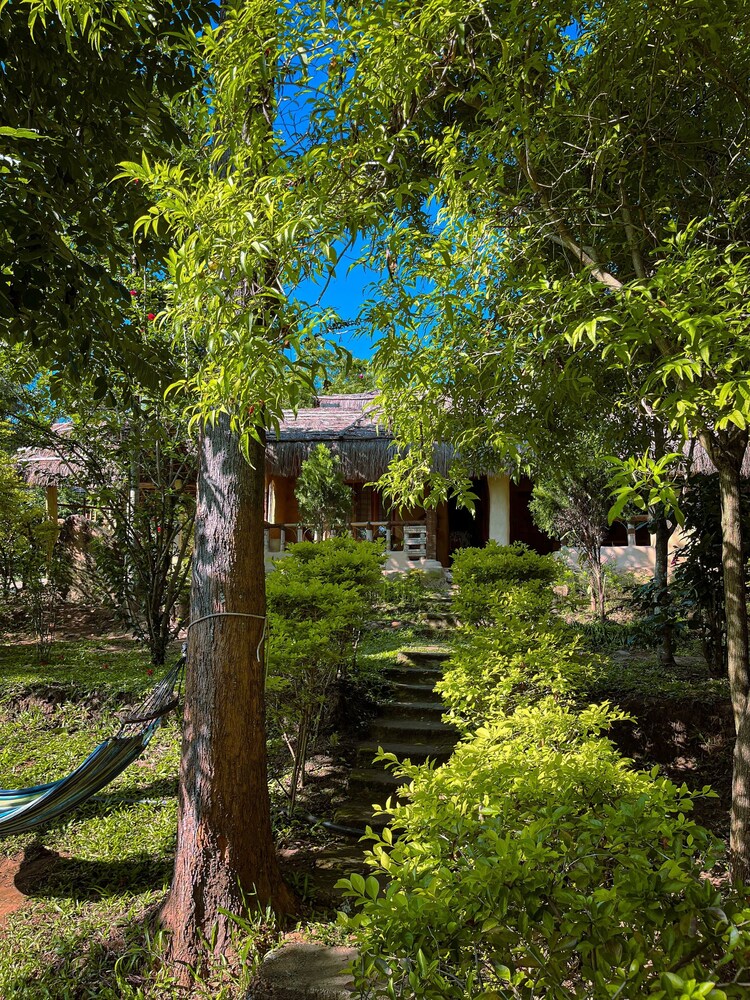 Nature Tones By BRDGE HOSPITALITY