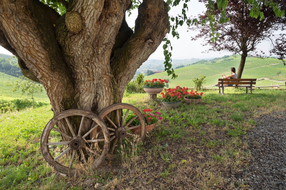 Agriturismo Albarossa